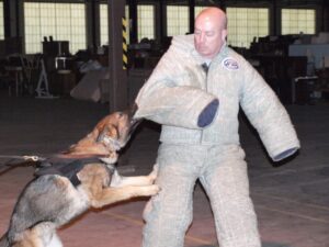 Man wearing bite suit as dog bites arm during training