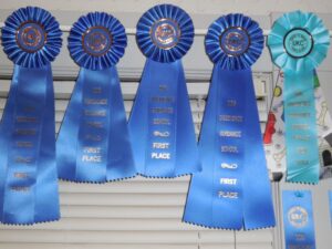 Obedience Guidance School First Place Ribbons