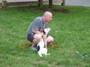 Dog Training Group Classes in Western Mass and Northern CT