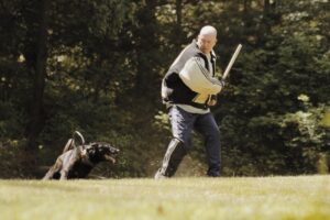 Dog training for Behavioral Issues, Western MA
