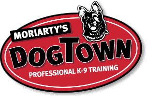Home - Moriarty Dogtown Dog & Puppy Training