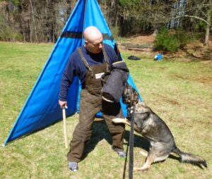 Dog Protection Training, Western Mass