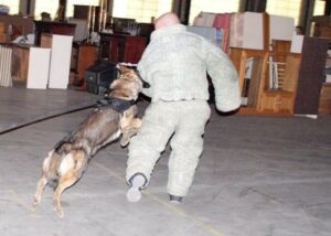 Police K9 Unit Dog Training, Western MA