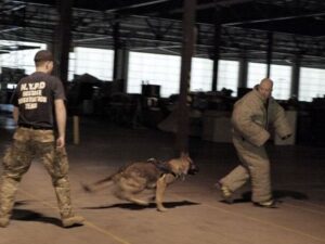 K9 Dog Training in Northern CT