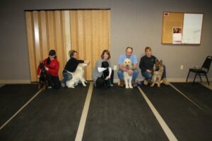 Dog Training Group Classes in Western Mass and Northern CT