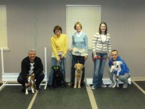 Dog Obedience Training Services in Western Mass and Northern CT